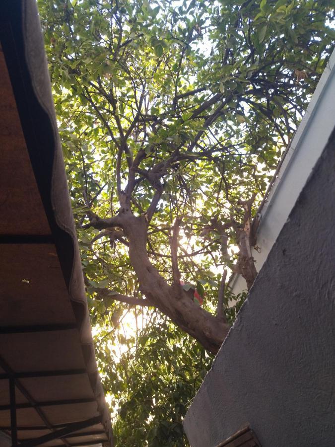 Appartement A La Medina De เฟส ภายนอก รูปภาพ